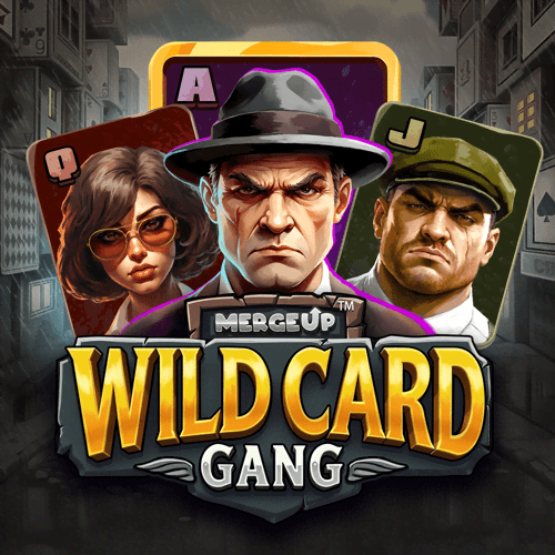 Wild Card Gang at Decode Casino